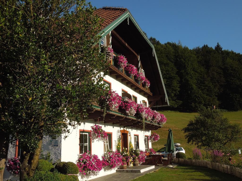 Wohlfuehlbauernhof Bambichlhof Villa Fuschl am See Buitenkant foto