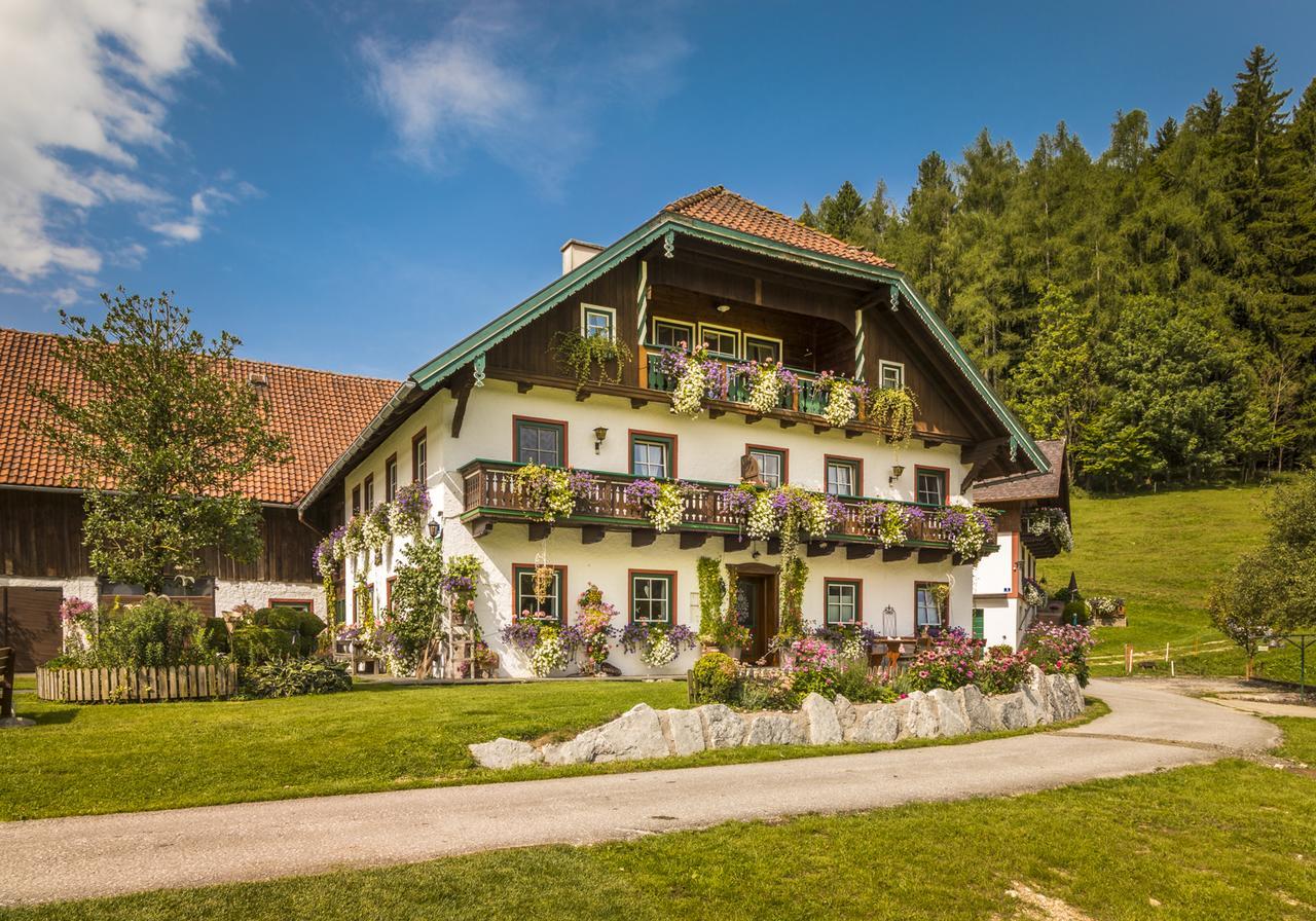 Wohlfuehlbauernhof Bambichlhof Villa Fuschl am See Buitenkant foto