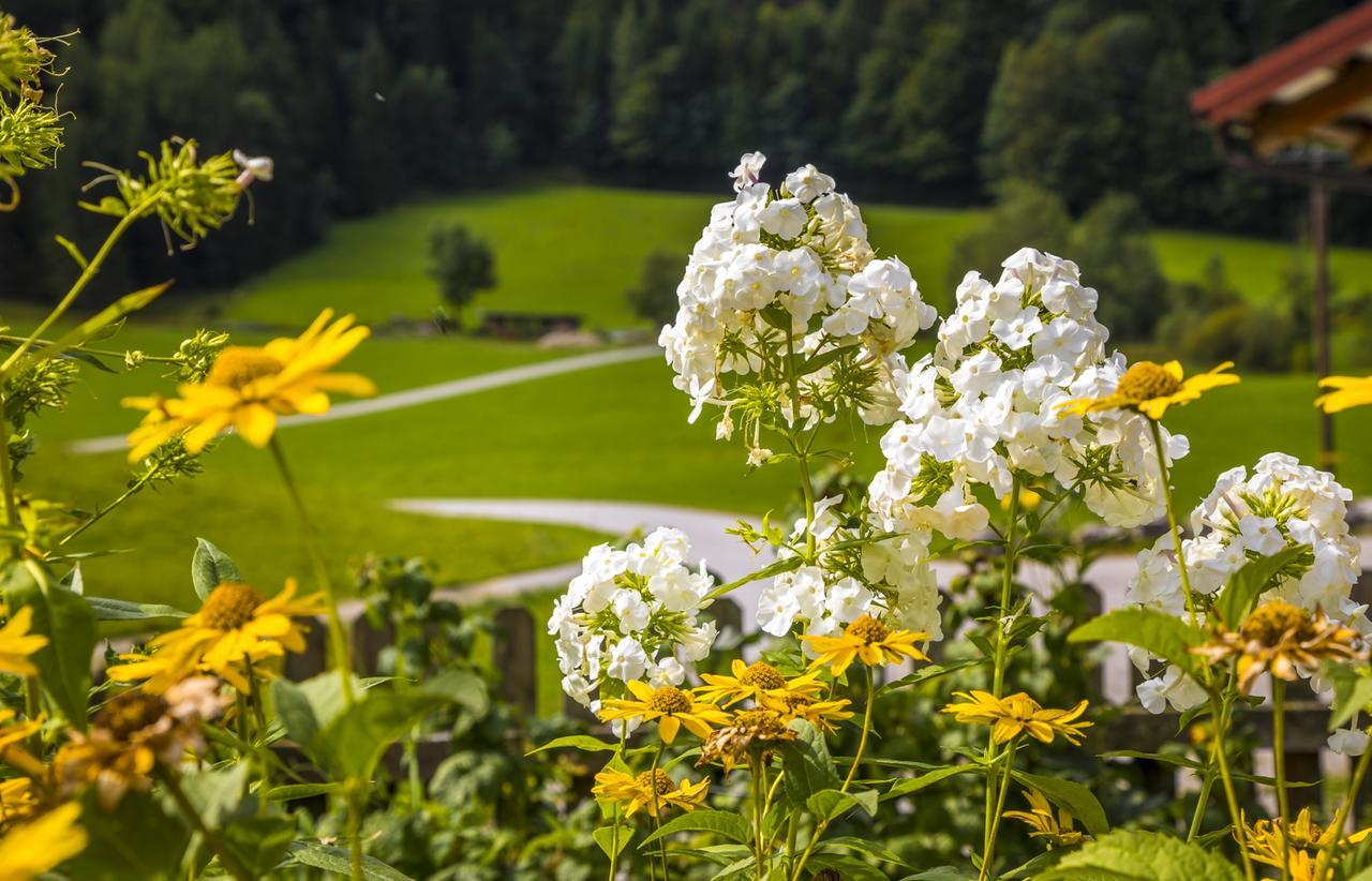 Wohlfuehlbauernhof Bambichlhof Villa Fuschl am See Buitenkant foto
