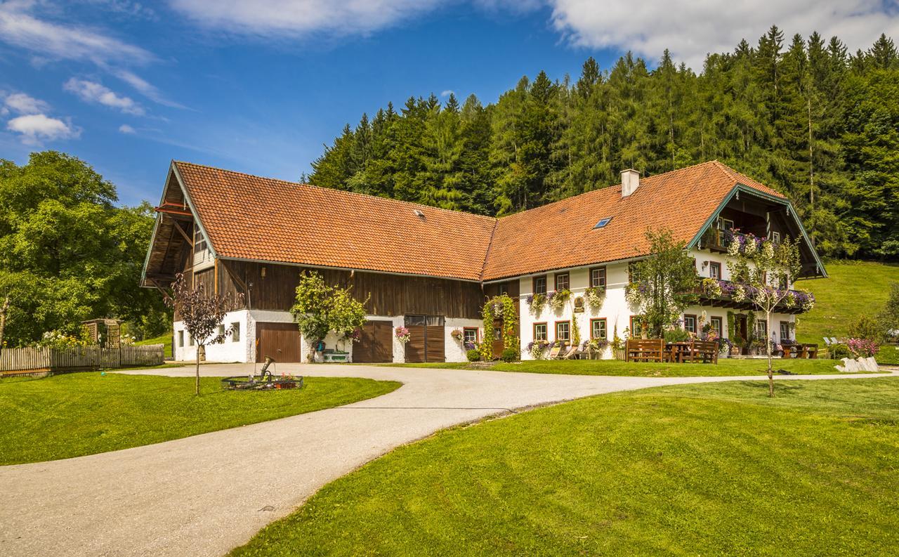 Wohlfuehlbauernhof Bambichlhof Villa Fuschl am See Buitenkant foto
