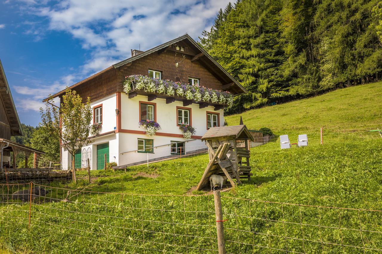Wohlfuehlbauernhof Bambichlhof Villa Fuschl am See Buitenkant foto