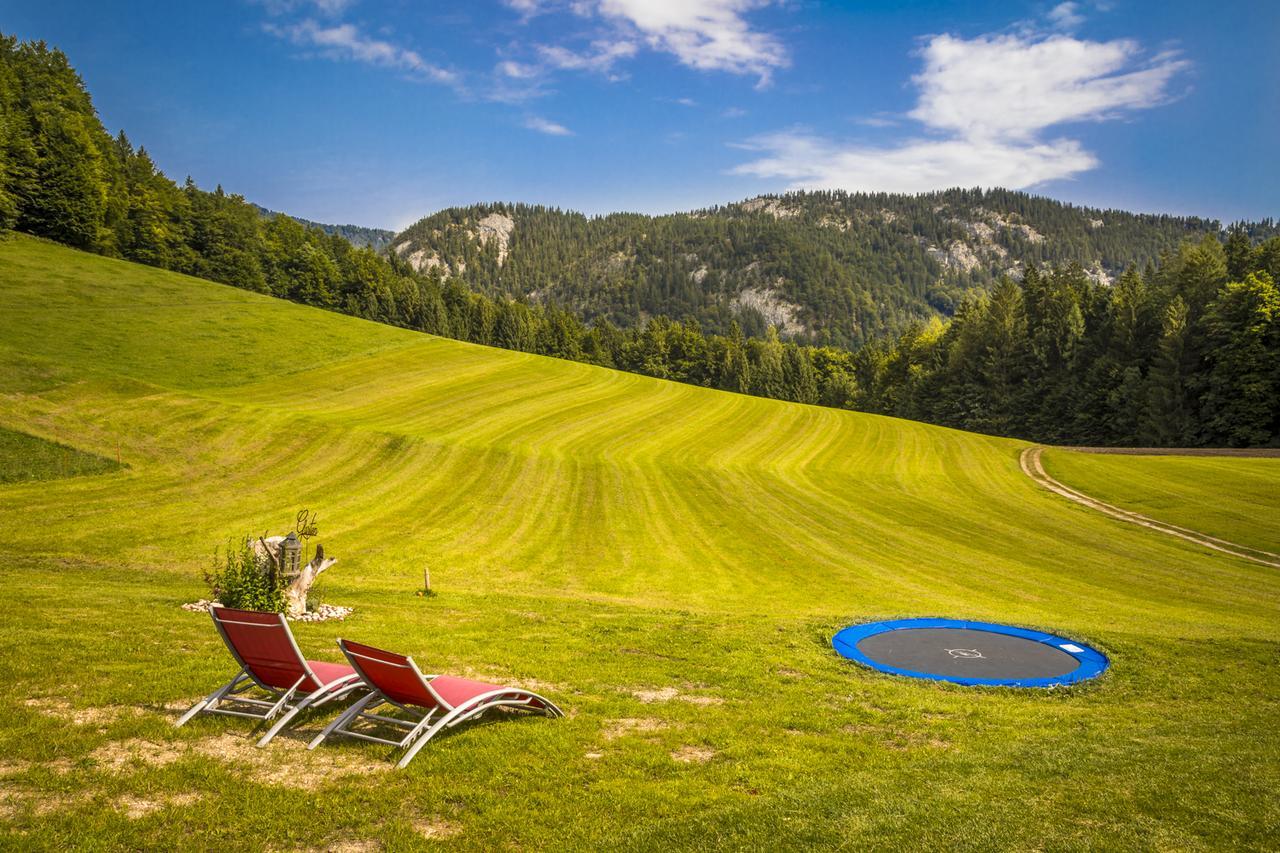 Wohlfuehlbauernhof Bambichlhof Villa Fuschl am See Buitenkant foto