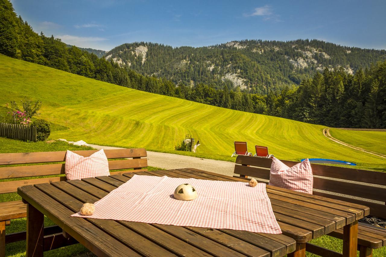 Wohlfuehlbauernhof Bambichlhof Villa Fuschl am See Buitenkant foto