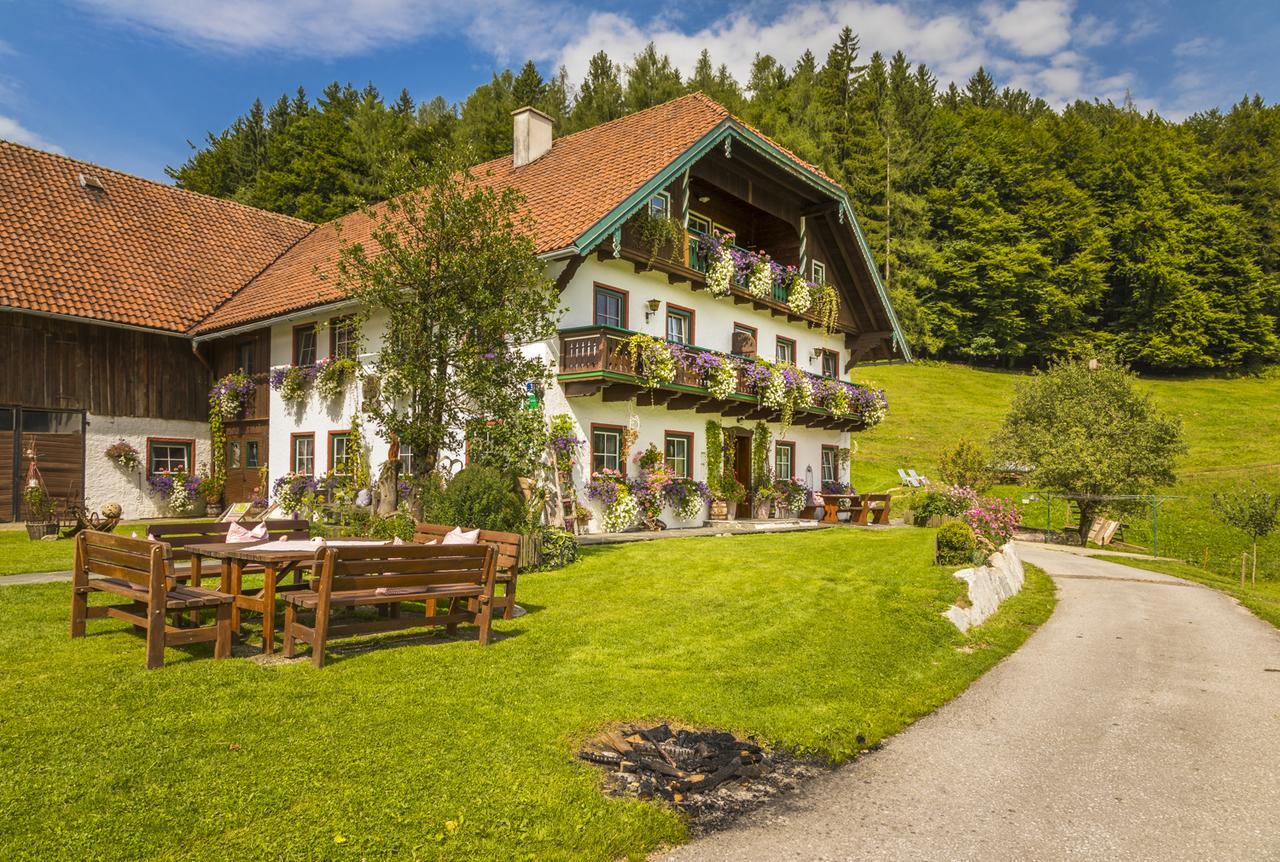 Wohlfuehlbauernhof Bambichlhof Villa Fuschl am See Buitenkant foto