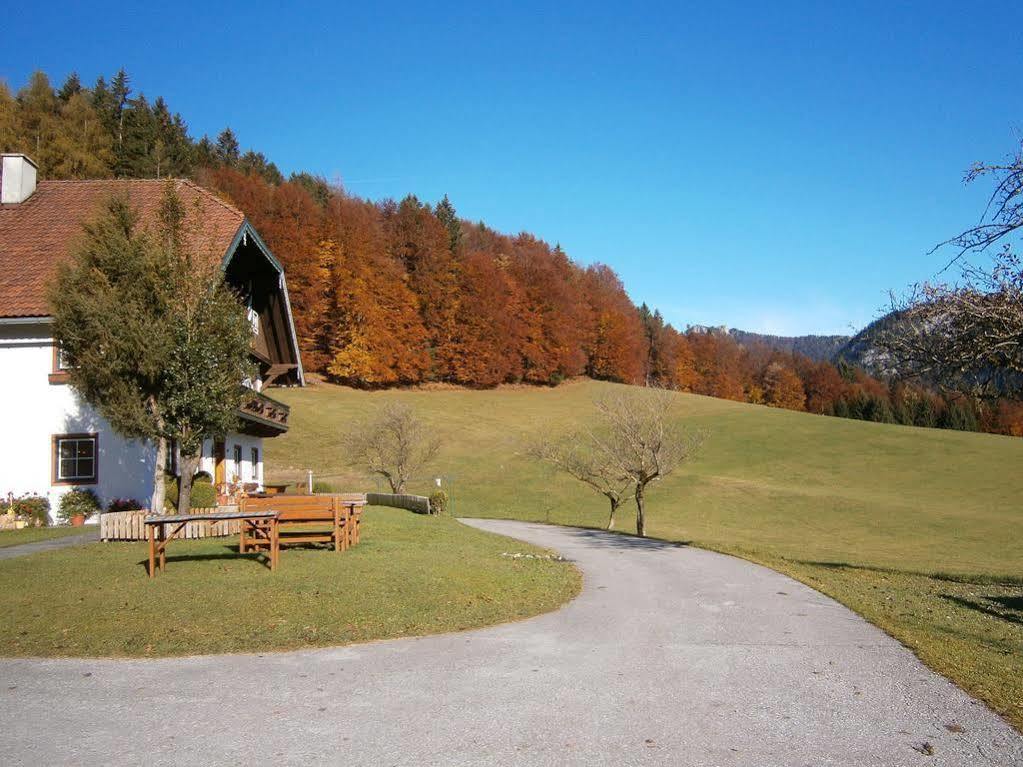 Wohlfuehlbauernhof Bambichlhof Villa Fuschl am See Buitenkant foto